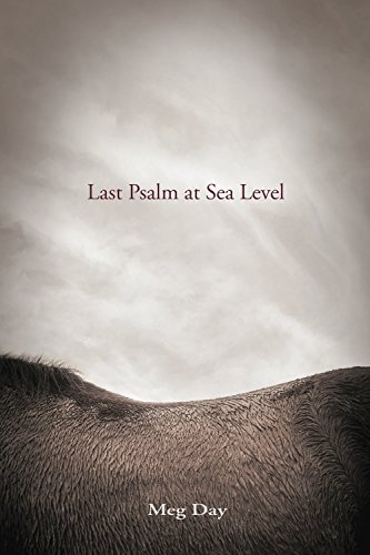 Last Psalm at Sea Level by Meg Day