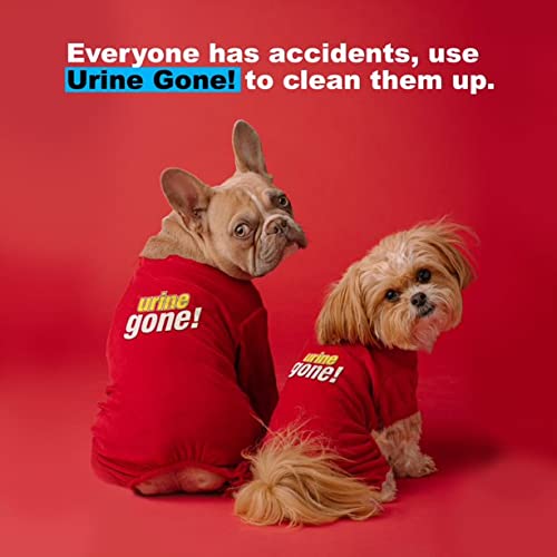 Urine Gone Stream Clean, Carpet Stain and Odor Eliminator Heavy Duty