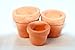 G & F Products G & F Garden Miniature Fairy Garden Tiny Pots (Set of 3), Orange …