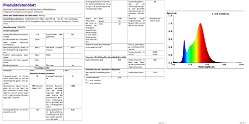 Neon LED Strip 3m, RGBIC Neon LED Streifen mit App-Steuerung, DIY-Farbwechsel Lichtband, Musik Sync,Neon Lichtband für Wohnzimmer, Schlafzimmer, Wand Deko