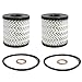 Cooper S Oil Filters 2-pak Kit for Clubman R55, Hatchback R56, Convertible R57, Coupe R58, Roadster R59, Countryman R60, Paceman R61