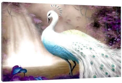 Amazon Com Hand Painted Beautiful White Peacock Canvas Oil Painting For Home Wall Art Decoration Not A Print Giclee Poster Framed Ready To Hang Posters Prints