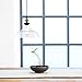 Light Society Classon Edison Pendant Light, Clear Glass Shade with Antique Brass Finish, Vintage Modern Industrial Lighting Fixture (LS-C171)