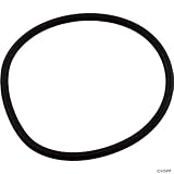 Waterway Clearwater Sand Filter Collar Gasket (02' & after Models) 805-0435