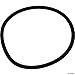 Waterway Clearwater Sand Filter Collar Gasket (02' & after Models) 805-0435