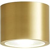 LCSMVLQ LED Dimmable Downlight,H65 Brass Surface Mounted Spotlight Ceiling Light, 7W,9W Anti-Glare Downlight, Golden Indoor L