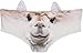 Ababalaya Womens' 3D Animal Print Cute Briefs with Ears, Alpaca,M
