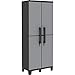 2 Door Storage Cabinet, Finish: Black and gray