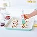 GreenLife Cooking Tools and Utensils, 5 Piece Nylon and Silicone Baking Set with Spatulas Wisk and Brush, Dishwasher Safe, Turquoise