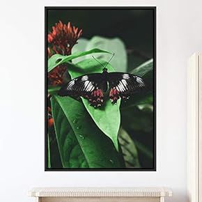 signwin Framed Canvas Wall Art Butterfly Expressive Farmhouse/Country...