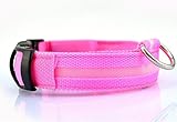 Liroyal Nylon LED Dog Night Safety Collar Flashing Light up W/circular Pendant Collar Pink
