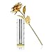 Valentine's Day Gift 24K Gold Foil Rose Flower with Crystal-Clear Vase, Best Love Gift for Women Anniversary, Birthday, Mothers Day