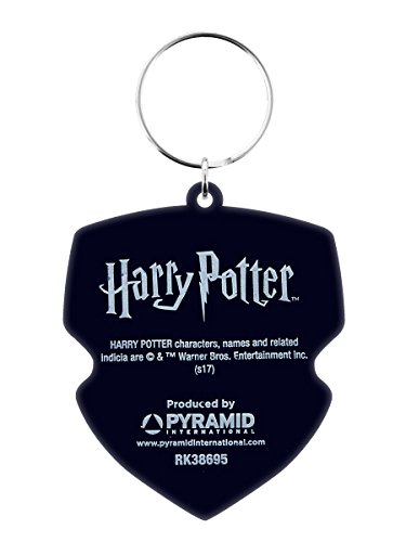 Harry Potter Ravenclaw Keyring