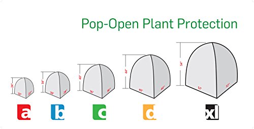 4 NuVue+Products+24000+Multiple+Available