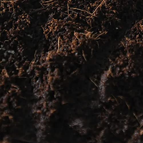 Boomr Bag (5 lbs) Sterile ManureBased Bulk Mushroom Substrate