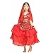 Pilot-trade Girl Belly Dance Costume 3 Layers Skirt Hip Scarf Veil Sets