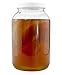 Cornucopia Brands 1-Gallon Glass Kombucha Jars w/Cotton Cloth Covers & Plastic Lids for Storage after Brewing (2-Pack)