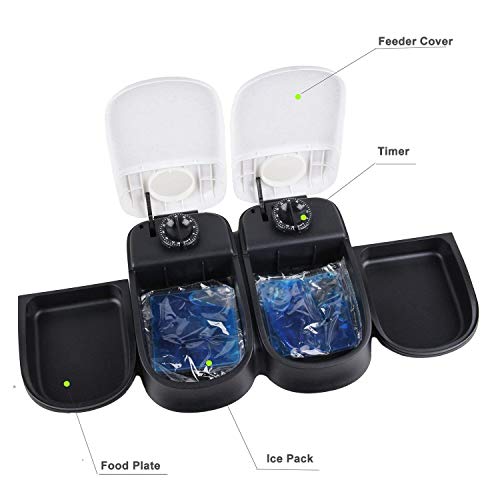 PAWISE Automatic Cat Feeders 2 Meal Automatic Dog Feeder,Dog / Cat Food Dispenser 1.5 Cups