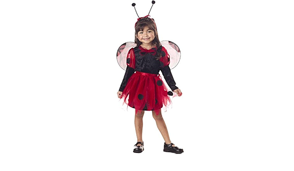 ladybug dress 4t