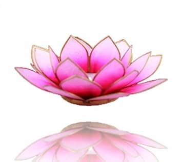 Bougeoir Photophore Lotus Capiz Roserose Fleurs Avec