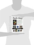 Image de Exotic Gems, Volume 2: How to Identify and Buy Alexandrite, Andalusite, Chrysoberyl Cat's-eye, Kyanite, Common Opal, Fire Opal, Dinosaur Gembone, Tsav