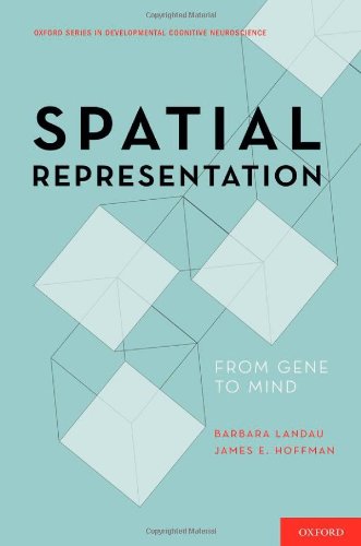 Spatial Representation From Gene to Mind (Hardcover)