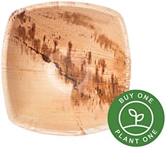 25 Heavy Duty Disposable and Home Compostable Party Bowls made from Palm Leaf • 6 inch Square