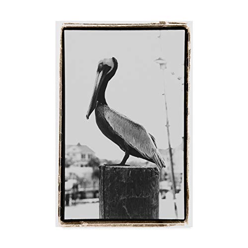 Trademark Fine Art Pelican Perched by Laura Denardo, 30x47-Inch