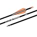 Carbon Arrow Practice Hunting Arrows with Removable Tips for Archery Compound & Recurve & Traditional Bow (Pack of 12)