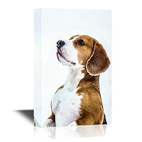 Dogs Breeds Standing Funny Beagle Dog Pet Art for