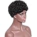 AISI HAIR Black Synthetic Wigs Short Afro Curly Wig for Black Women Hest Resistant Fiber