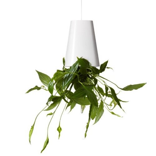 Singeek Sky Planter Hanging Flower Pot Upside-Down Plant Pot , Sky Garden Hanging Pot(white)