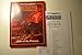 Greyhawk Adventures: From the Ashes/Boxed Set (Advanced Dungeons & Dragons, 2nd Ed)
