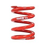 H&R (RF120120) 60mm ID Race Spring