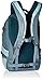 Osprey Packs Perigee Daypack, Liquid Blue