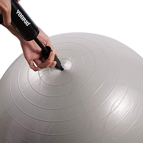 YOGIVO Exercise Ball Pump, Hand Air Pump for Stability Workout Yoga