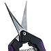 Apollo Horticulture Precision Curved Blade Pruner Shears for Gardening