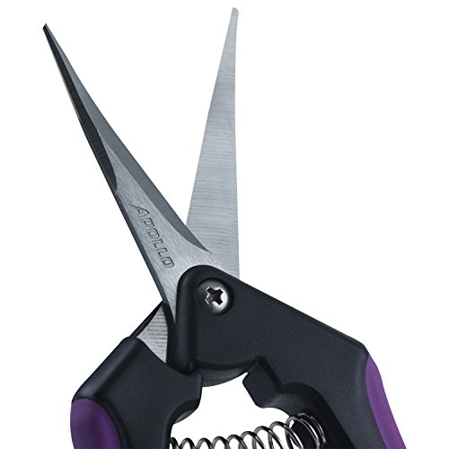 Apollo Horticulture Precision Curved Blade Pruner Shears for Gardening