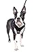 Gooby - X Harness, Small Dog Choke Free Step-in Harness with Synthetic Lambskin Soft Strap, Black, Small