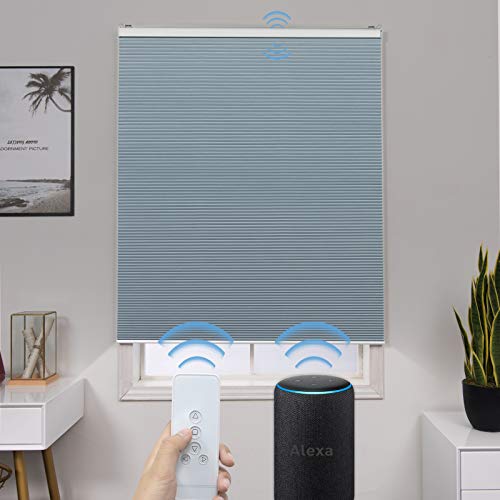 Graywind Motorized 100 Blackout Single Cell Cellular Shades Compatible