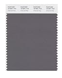 PANTONE SMART 18-0601X Color Swatch Card, Charcoal Gray