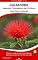 Livro Caliandra: 50 Dicas Práticas de Cultivo : Um guia prático para cultivar a Caliandra, a Flor-do-cerrado. Transforme seu jardim com flores impressionantes ... (Flores em Casa – Série Dicas de Cultivo)