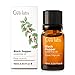 Black Pepper Essential Oil &ndash; 100% Pure Therapeutic Grade for Hair Growth, Sore Muscles &ndash; 10 ml (0.34 oz) primary