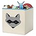 Whitmor Kids Raccoon Canvas Collapsible Cube - 10 x 10 x 10 inches