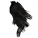 Daler-Rowney FW Artists' Ink Black 6 oz.