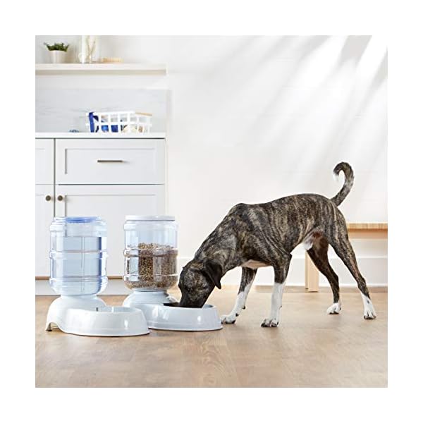 AmazonBasics Large Gravity Pet Food Feeder and Water Dispenser Bundle