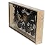 REAL Multiple INSECTS BEETLES Scorpion Cicada Bat Spider Taxidermy Collection Display in Wooden Box
