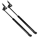Maxpow 1Pair Front Hood Lift Supports Shocks Struts Compatible With 1999-2003 So.