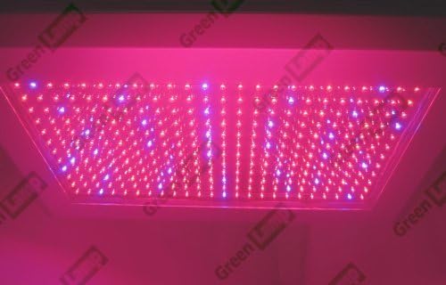 Green Lamp 300W LED Grow light board hydropic plant Red / Orange / Blue
