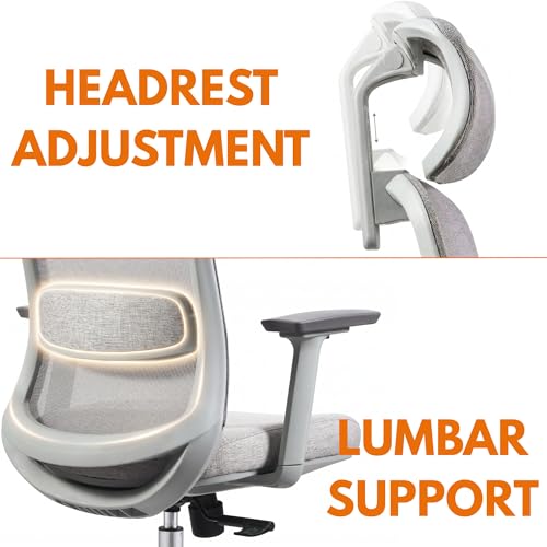 Skyland Ergonomic Office Chair with Mesh Backrest, Soft 3D Armrests, Desk chair with lumbar support, Executive Computer Chair for Home Office (Grey)